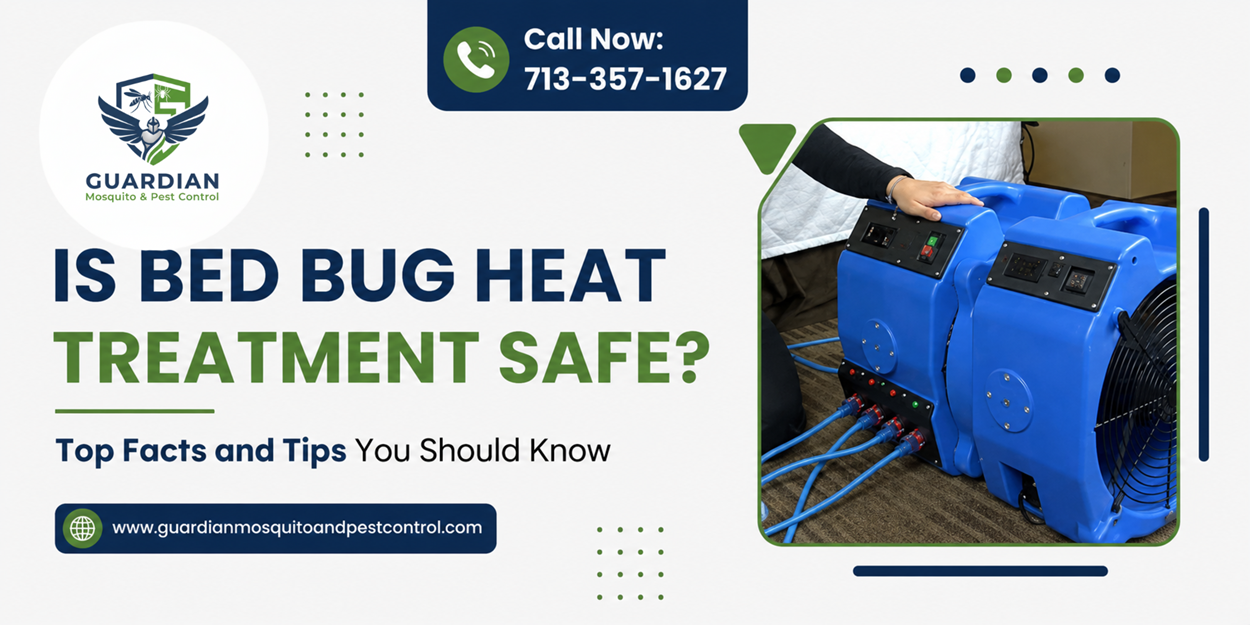 Is Bed Bug Heat Treatment Safe Top Facts and Tips You Should Know