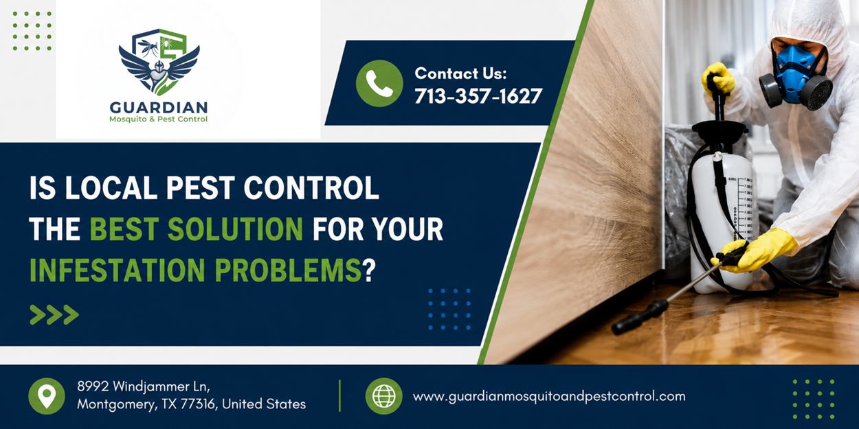Is Local Pest Control the Best Solution for Your Infestation Problems
