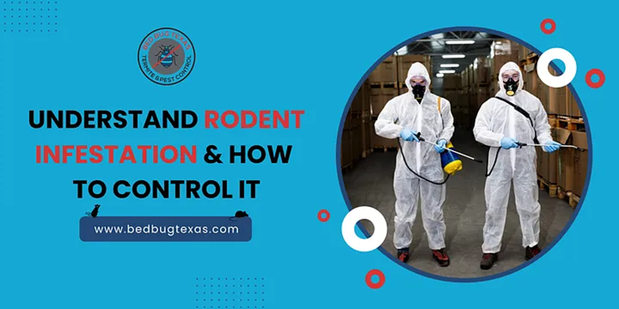 Expert Rodent Control in Texas | Get Rid of Rodents Fast