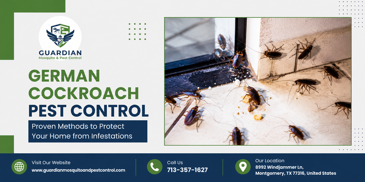 German Cockroach Pest Control Proven Methods to Protect Your Home from Infestations