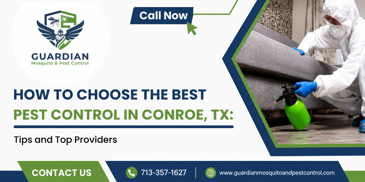 How to Choose the Best Pest Control in Conroe, TX Tips and Top Providers