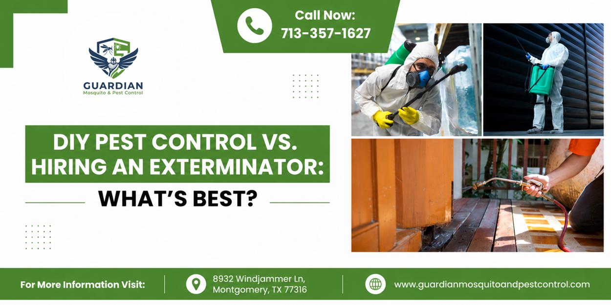 DIY Pest Control vs. Hiring an Exterminator What’s Best