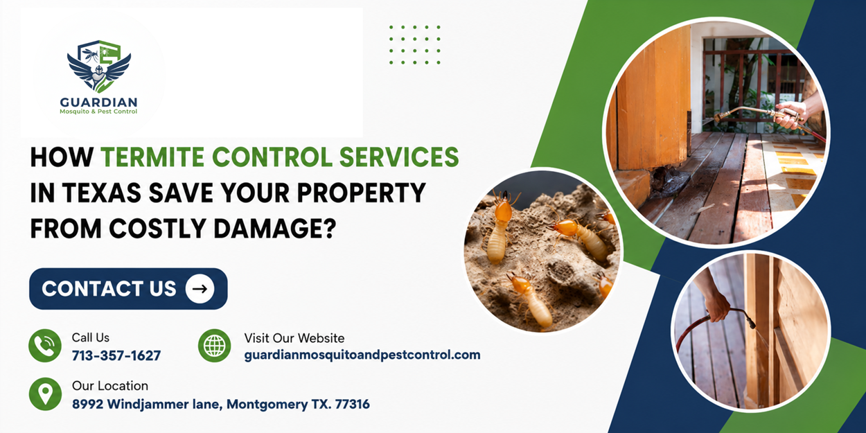 How Termite Control Services in Texas Save Your Property From Costly Damage