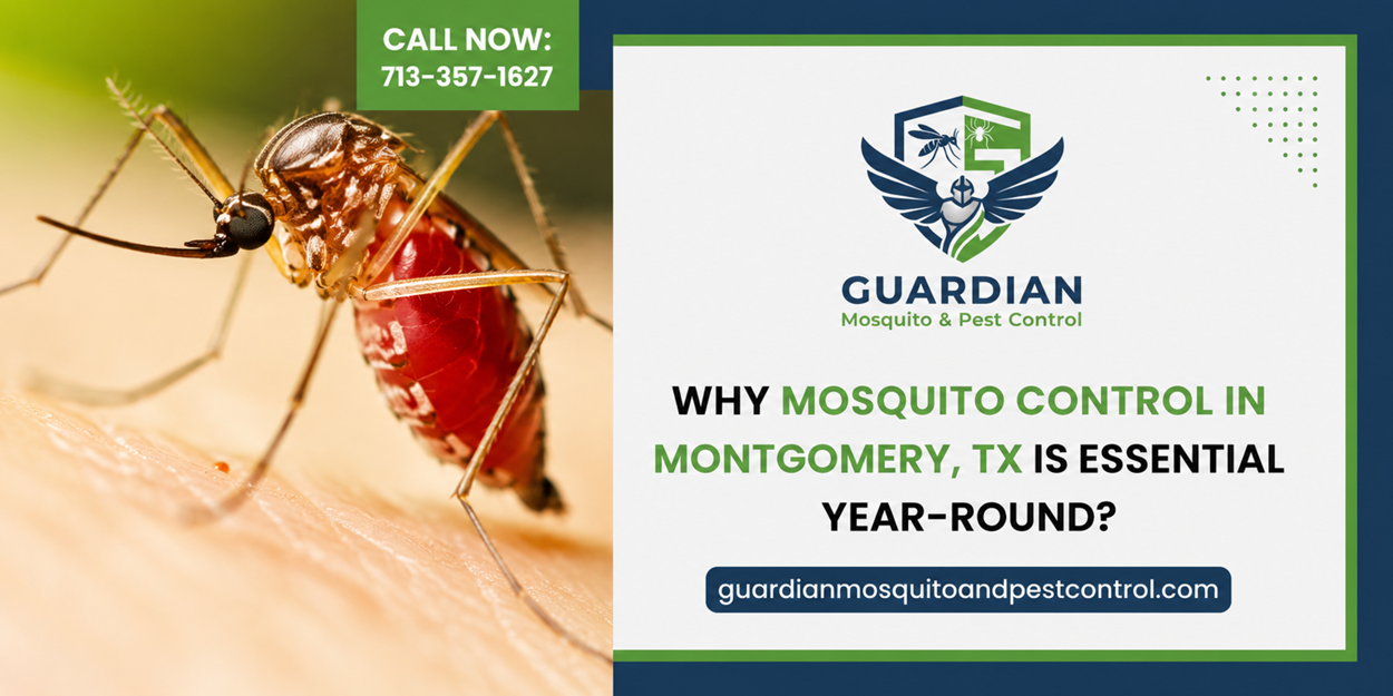 Why Mosquito Control In Montgomery TX is Essential Year-Round