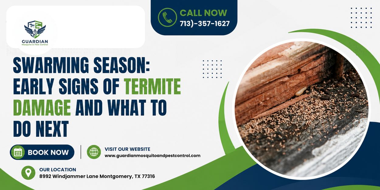Signs Of What Does Termite Damage Look Like