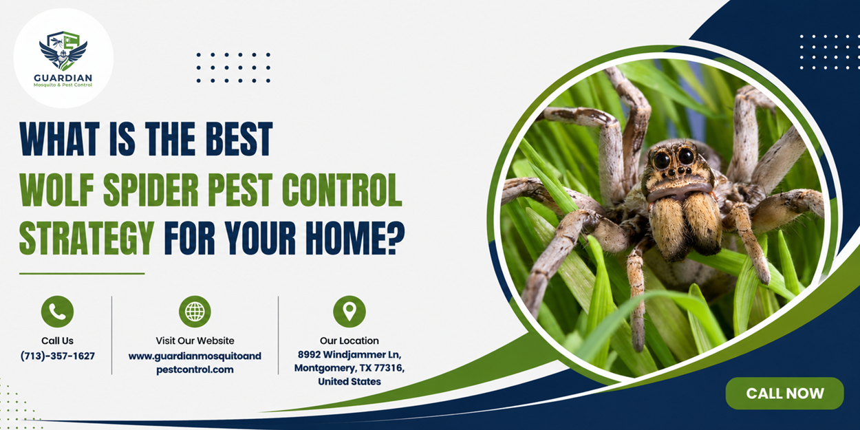 What Is the Best Wolf Spider Pest Control Strategy for Your Home