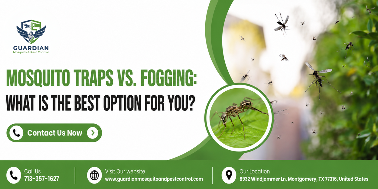 Mosquito Traps vs. Fogging What is the Best Option for You