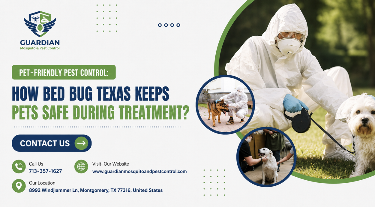 Pet-Friendly Pest Control How Bed Bug Texas Keeps Pets Safe During Treatment