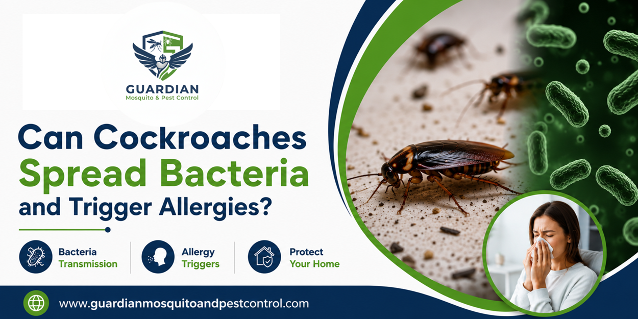 Can Cockroaches Spread Bacteria and Trigger Allergies