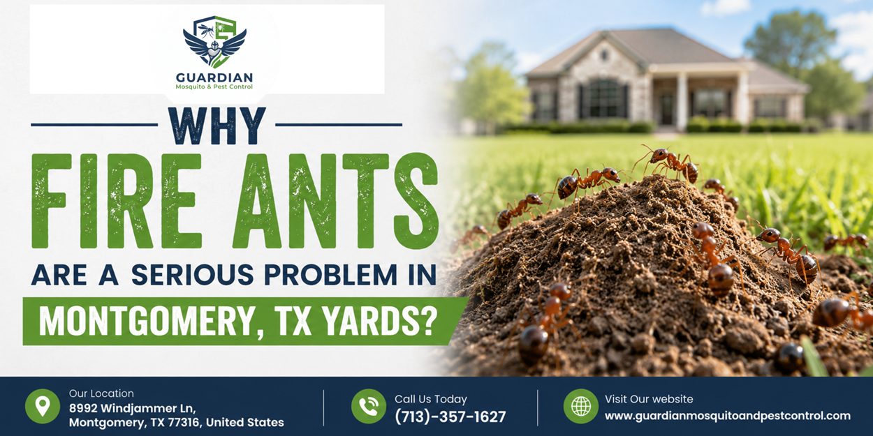 Why Fire Ants Are a Serious Problem in Montgomery, TX Yards