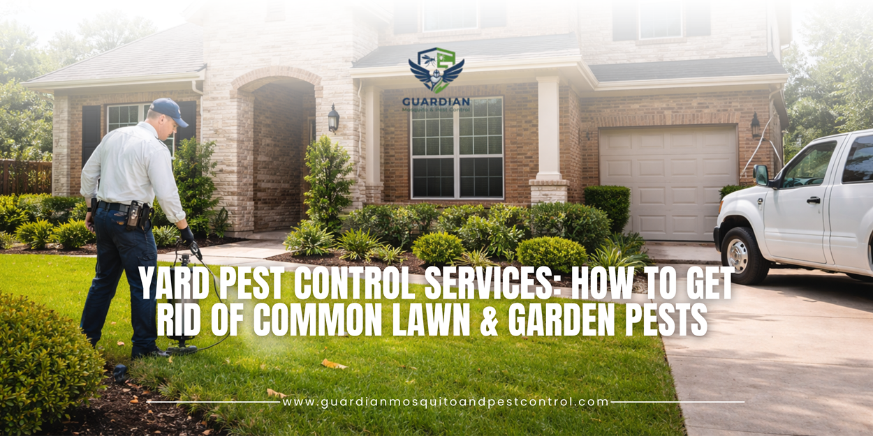 Yard Pest Control